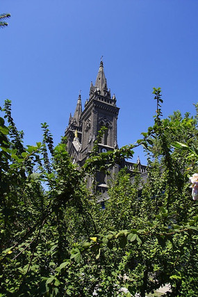 �Ϲ���������