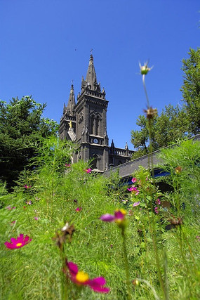 С����������