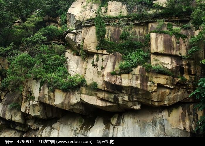 石壁上的绿色植被