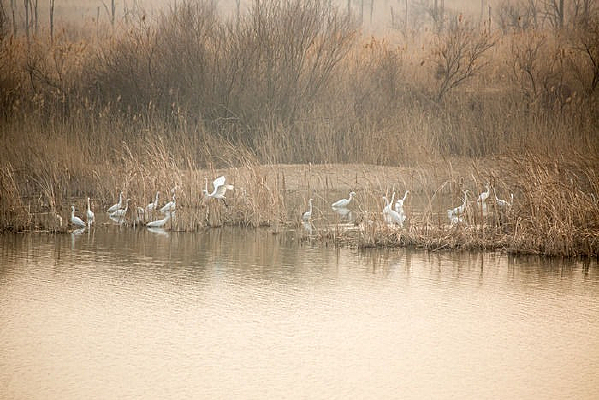 ��Ϣ�İ���