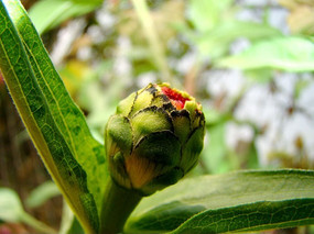 ���վյĻ��Ƕ�