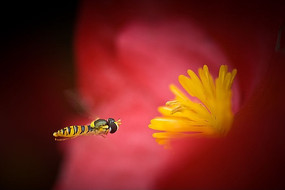 ���е���