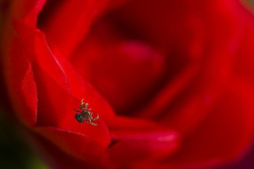 ����֪��