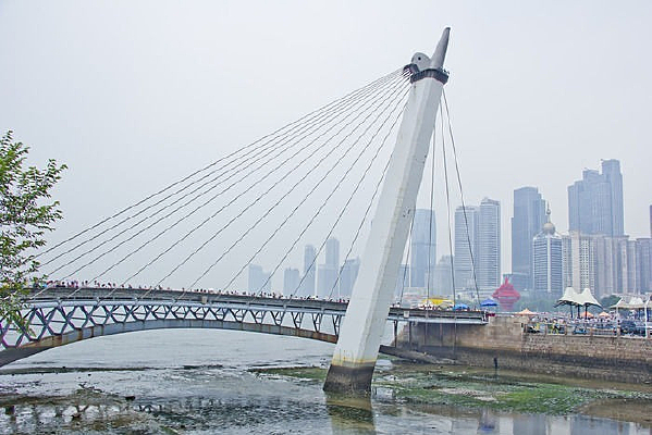 ���ߵ���