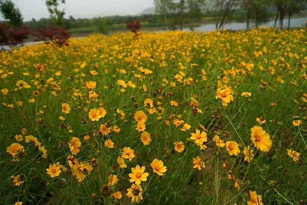 ����Ұ����