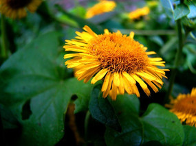 Ұ�ջ��Ĳ���