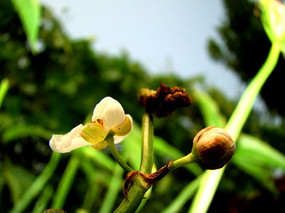 ���ŵ�ˮ��«����