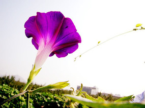 �峿���Ȼ�