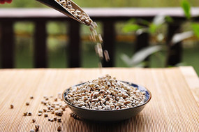 ���������޲��