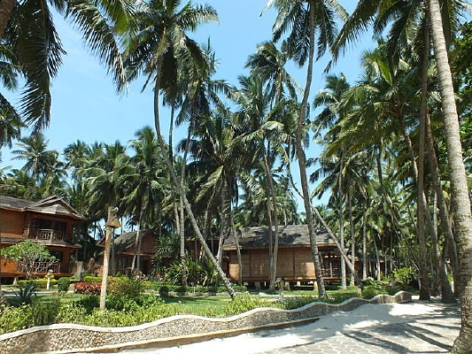 Ҭ������