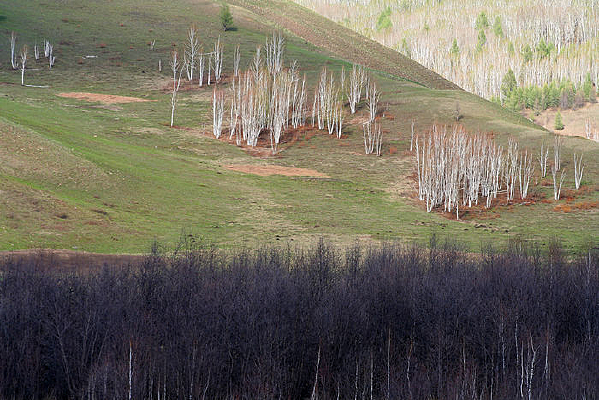 ��Ȼ�ɳ��İ���