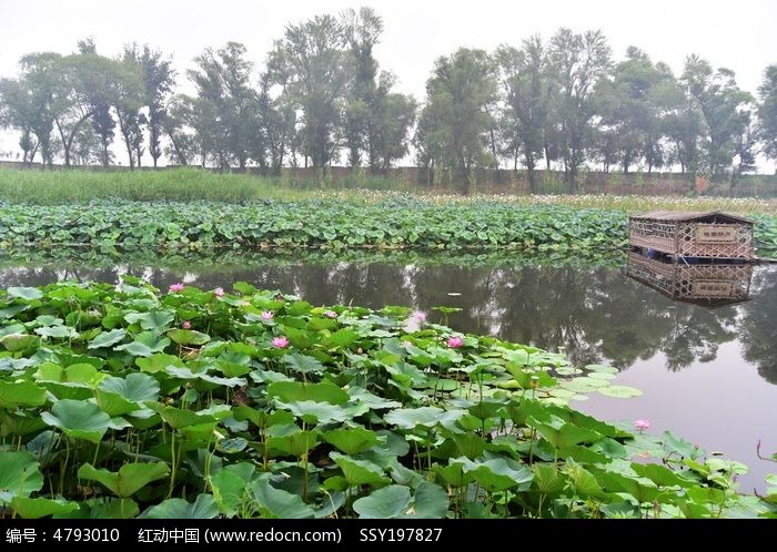 ����������羰ͼƬ