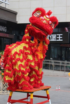 小狮子舞狮表演