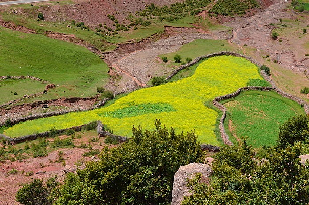 �ɰ���С���Ͳ���