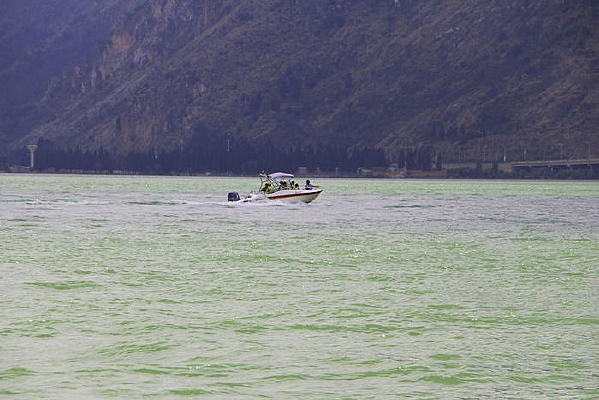 ������ɽ�µĵ��