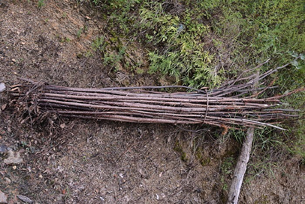 ũ�ҹ����õ�����