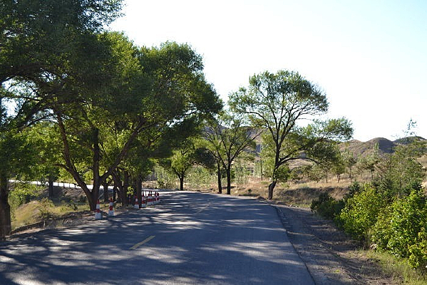 �����еĹ�·