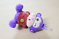 ���ŵĺ���