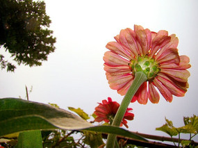 ȡİվ