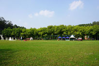 ��԰�̲�����