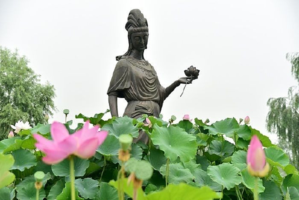 ���Ӻ��ɻ�