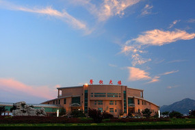 ������¥����