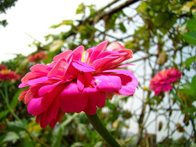 ���泬����ȡ���İ��վ�