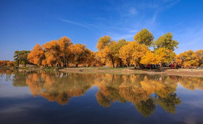 ����ɺ����ֵ�Ӱ