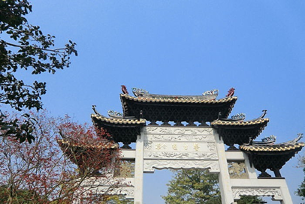 �������Ʒ�