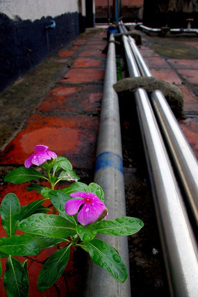 ¥̨�ϵ�С��