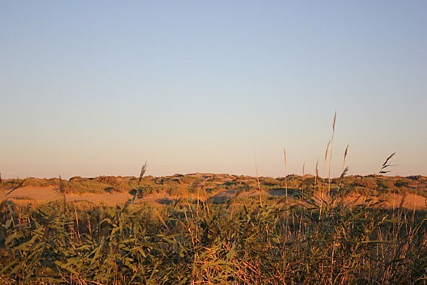 «έ������ͼ