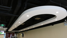 ʯ������