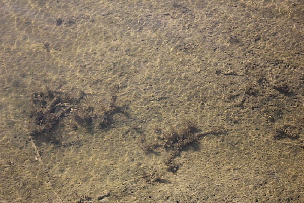 ��ˮ����