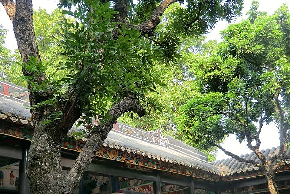 ͥԺ������ù�������