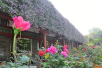 �������¼���