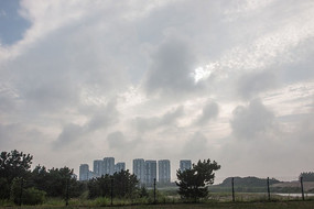 ���� ����