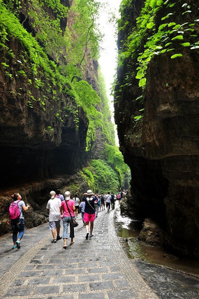 ɽ�������ε�����