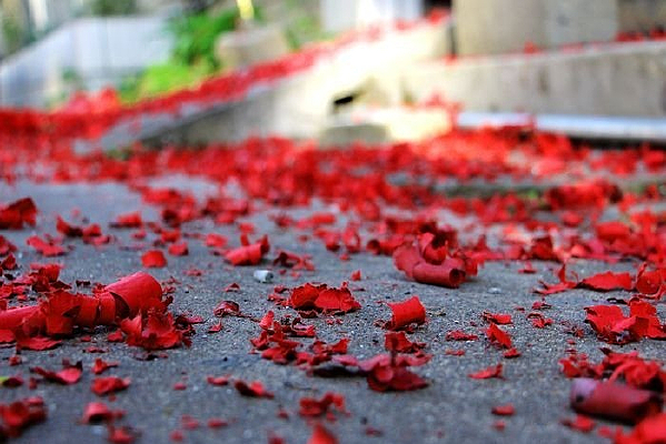 ����һ�صĺ�ɫ����