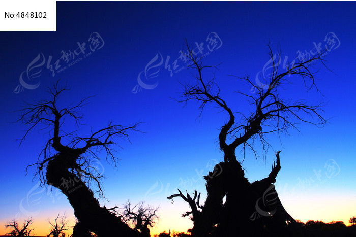 ����ɹ�����ĺɫͼƬ