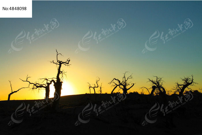 ����ɹ�����Ϧ��ͼƬ