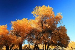 ����������������