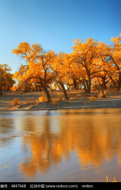 ���Ͻ�ɫ�ĺ�����ͼƬ