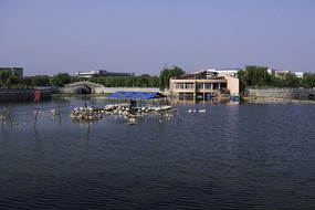 ���е�ˮ��