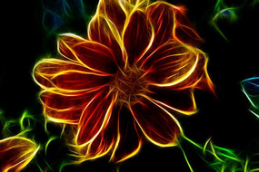 ����ĵ����