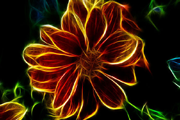 ����ĵ����