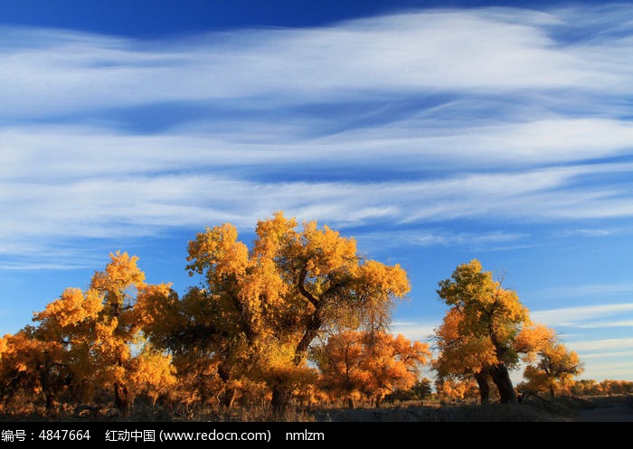 �����µĽ�ɫ����ͼƬ