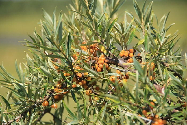 ɳ������