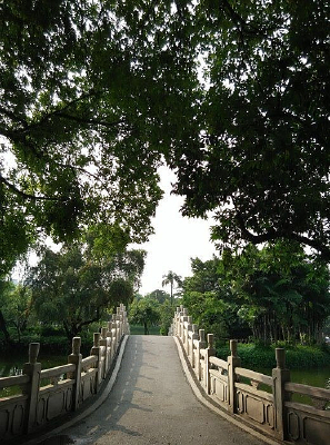 ����С��