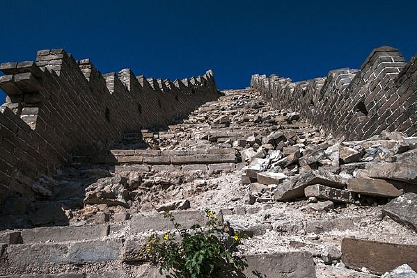 ����Ұ��