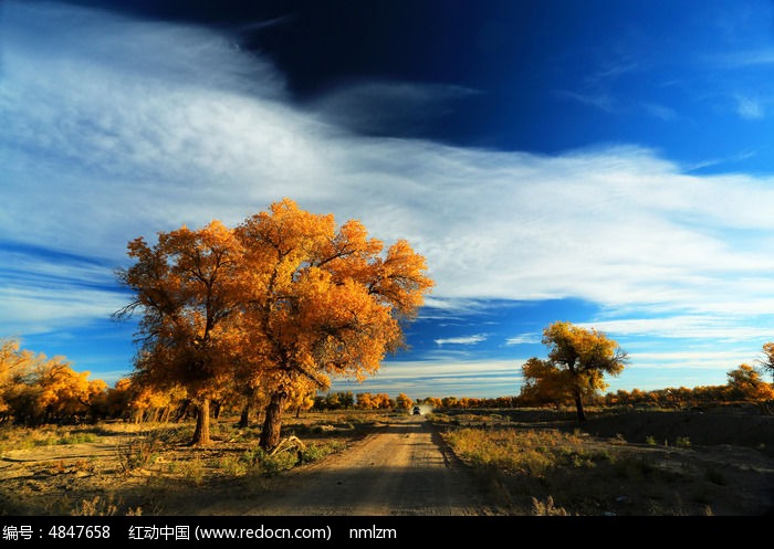 ԭҰ��С·��ɫ������ͼƬ